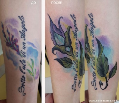 Click to view full size image