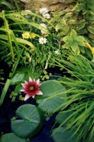 img114.jpg