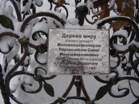 progulka_(41).jpg